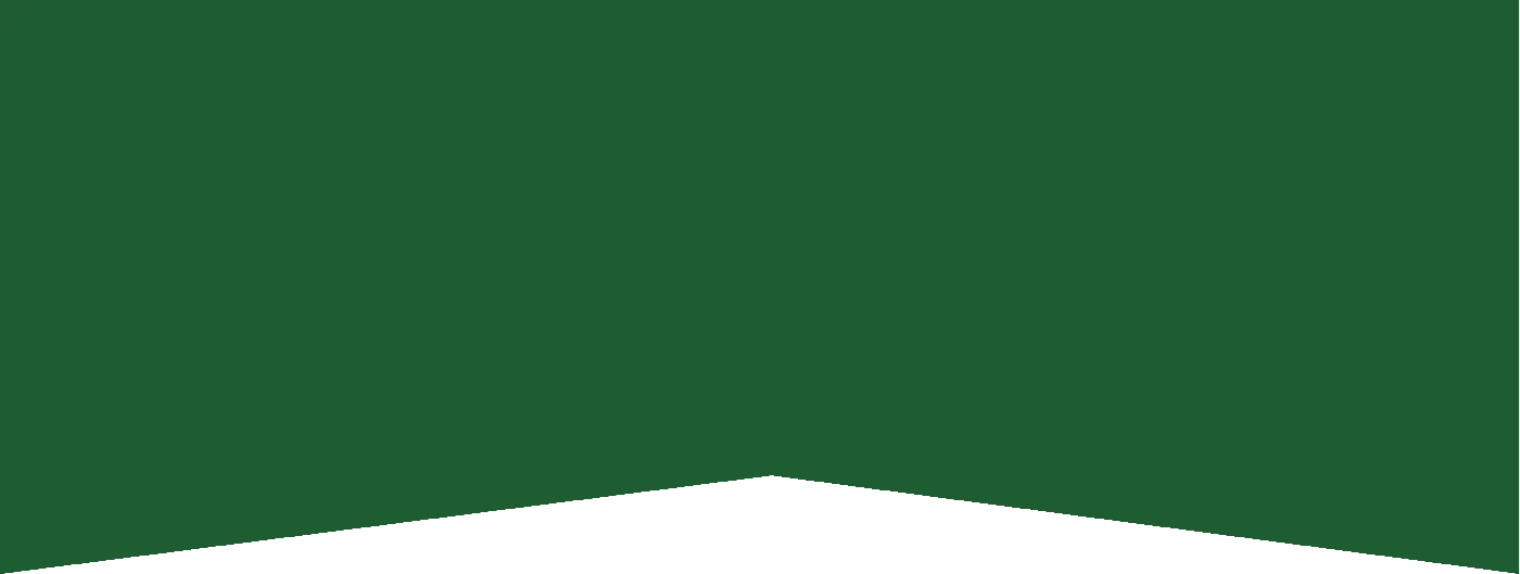 Green banner pattern from the LottoChamp presentation